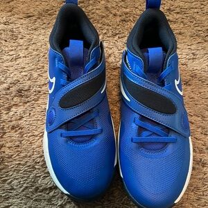 Nike Royal Blue Sneakers